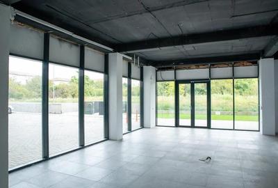 Spațiu comercial, de 56 mp, în Lipovei - 1