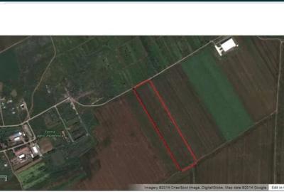 Teren cernica branesti fundeni calarasi stradal 1ha - 1