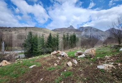 Casa individuala,65 mp,1150 mp teren,Valisoara - 12