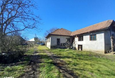 Casă cu Teren 6500 Mp în Mireșu Mare - 1