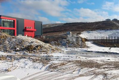 Teren de 4653 mp, în Vișan