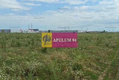 Teren Construcții intravilan de 2504 mp, în Dobroești - 4