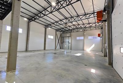Spațiu comercial, de 600 mp, în Bartolomeu - 7