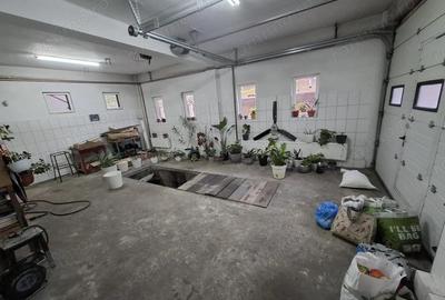 Casa 300mp utili- teren 550mp Sector 4 - Luica Giurgiului Piata Resita - 4