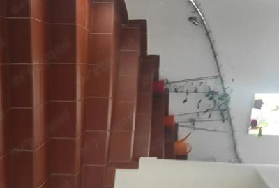 Casă cu 6 camere în Central - 4