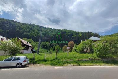 Teren Voineasa/Intravilan/5500 mp - 3