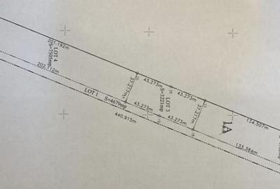 Teren Magurele adiacent str Atomistilor cu functiune mixta - 3
