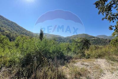 Teren intravilan Buru | ideal agrement, activita?i outdoor Teren intravilan Buru | ideal agrement, activita?i outdoor - 1