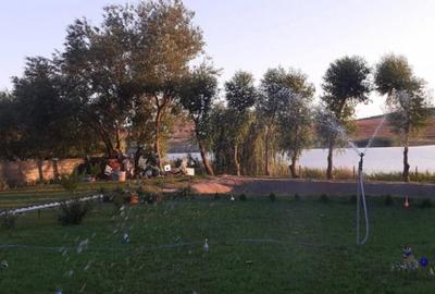 HORIA - 3 CAMERE ,SUPRAFATA 100 MP,TEREN 3000 MP CU DESCHIDE - 2