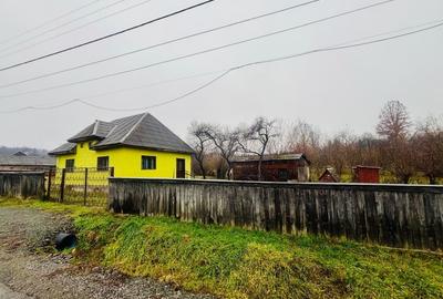 Casa de vanzare in Sarbi / Budesti – Maramures - 1
