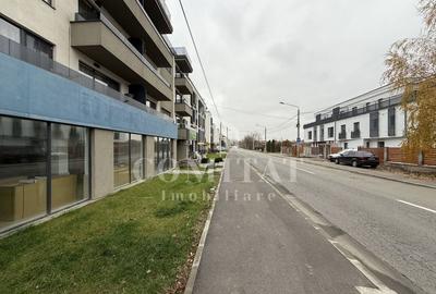 Spațiu comercial ideal showroom str Borhanciului - 2