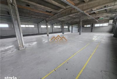 Spațiu comercial, de 800 mp, în Șcheia - 9
