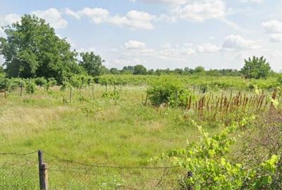 Spațiu comercial, în Ogrăzile - 6