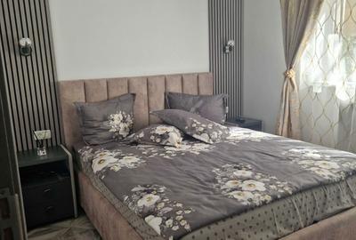 Apartament cu 2 camere semidecomandat în Cetate - 9