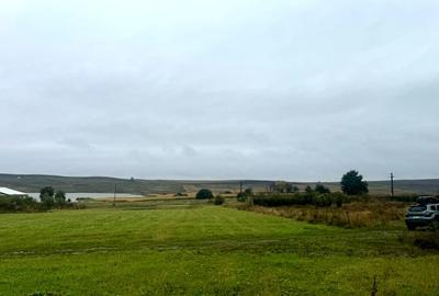 Vanzare 10.000 mp teren Liteni Suceava- la strada -potrivit proiect fonduri - 3