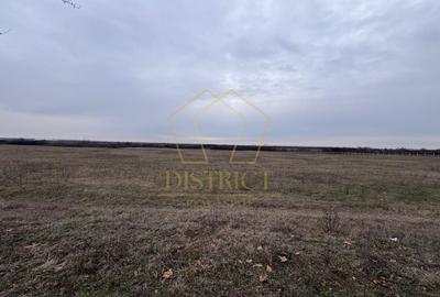 Teren agricol extravilan de 10000 mp, în Vest - 3