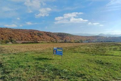 Teren de 10000 mp, în Tălmaciu - 2