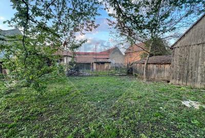 Casă cu 2 camere cu Teren 703 Mp în Gura Râului - 16