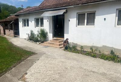 Casă cu 3 camere cu Teren 2300 Mp în Cucerdea - 4