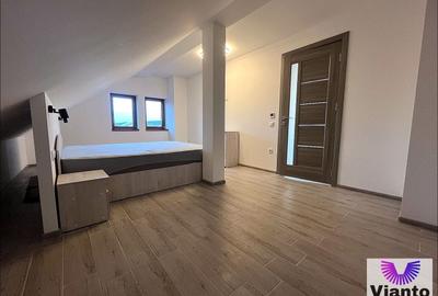 Apartament cu 2 camere semidecomandat, mobilat în Terezian - 7