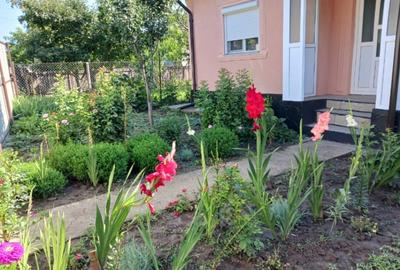 Harlau, Ia?i. Casa. - 2