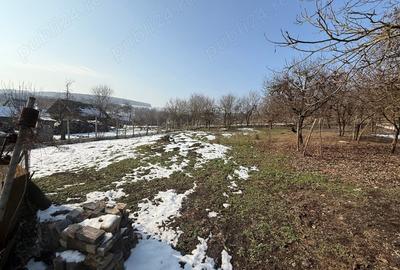 Casă cu 3 camere în Coșeiu - 6