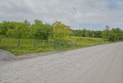 Casa cu 4 camere de vanzare in Racos, COMISION 0%! - 3