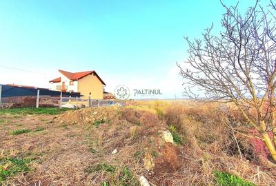 Teren Construcții intravilan de 1033 mp, în Daia