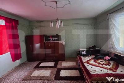 Casă cu 2 camere cu Teren 3200 Mp în Central - 18