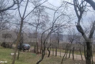 Teren în Schiulești - 5