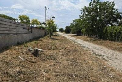 Casă cu 2 camere cu Teren 1722 Mp în Vadu - 6