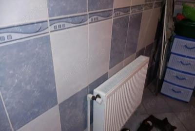 Casă cu 4 camere în Bucinișu - 2