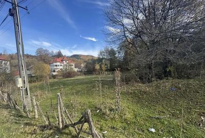 Teren de 13167 mp, în Bughea de Sus - 10