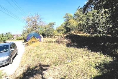 CASA + teren intravilan,  comuna BODESTI - 8