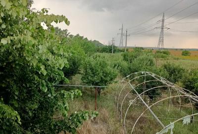 Teren Giurgiu, Sos. Alexandriei, 1700mp - 3