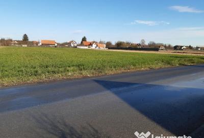 Teren de 2325 mp, în Triaj - 5