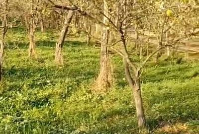 Spațiu comercial, în Central - 4