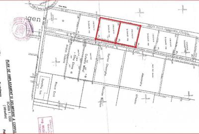 Teren intravilan de 545 mp, în Pantelimon - 6