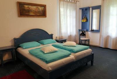 Cabana Sibiu Intravilan 4622mp Munte - 3