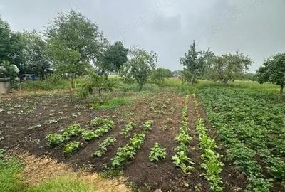 Casă cu Teren 5400 Mp în Central - 3