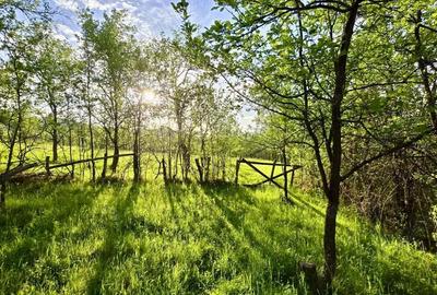 Casă cu Teren 5000 Mp în Răchitova - 2