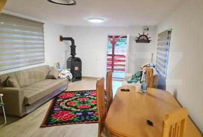 EXCLUSIV BLITZ !  Cabana in statiunea Muntele Baisorii - 7