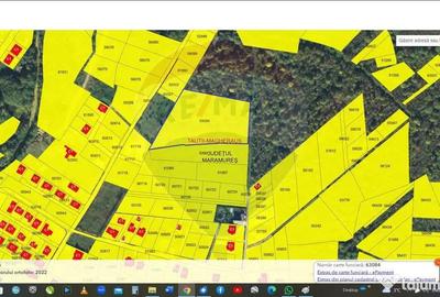 Teren de 9857 mp, în Tăuții-Măgherăuș - 1