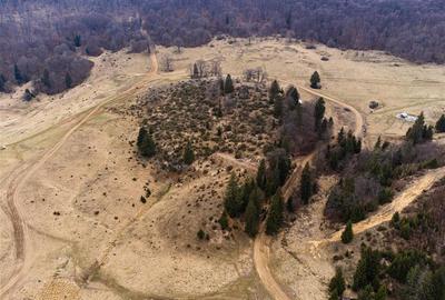 Teren Construcții intravilan de 6500 mp, în Poiana Brașov - 9