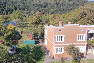 Casă individuală cu 6 camere cu Teren 6329 Mp în Alexandru cel Bun - 10