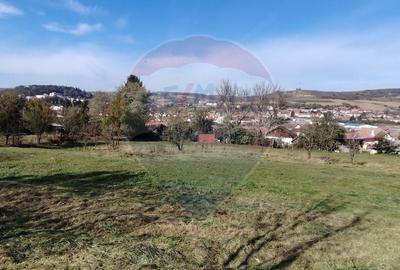 Teren intravilan de vanzare 3,798mp Str.Floreasca - Agnita - 4