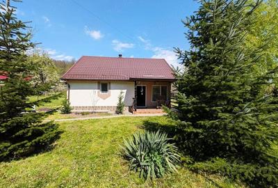 Casă cu 2 camere cu Teren 6500 Mp în Moșna - 3