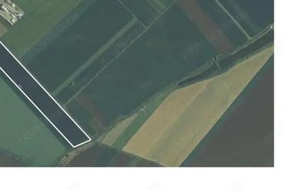 Teren de 53000 mp, în Dascălu