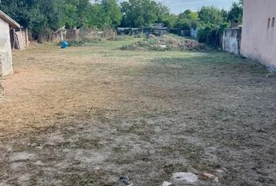 Casa cu teren generos în Timișoara - 3