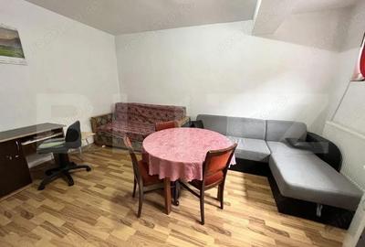 Apartament 1 camera, 70mp, zona Campului , Manastur Apartament 1 camera, 70mp, zona Campului , Manastur - 4